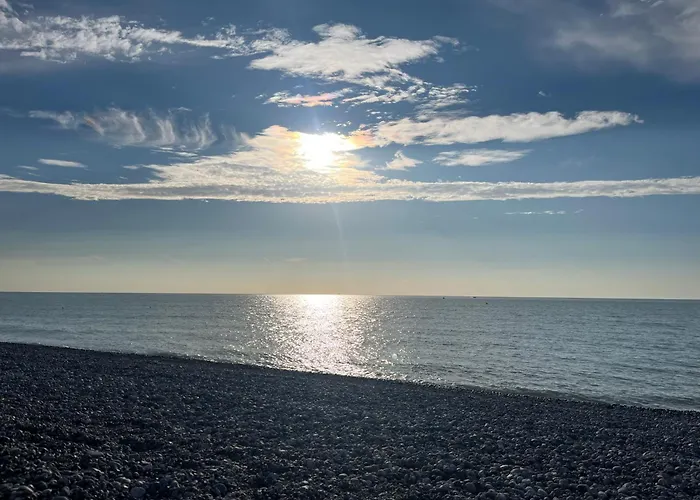 Cayeux Sur Oiseaux